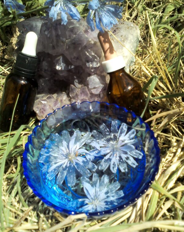 imagen flores bach página